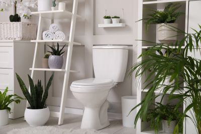 Eco-Friendly Bathroom Upgrades
